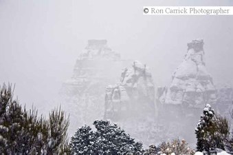 Enlarge photo 171