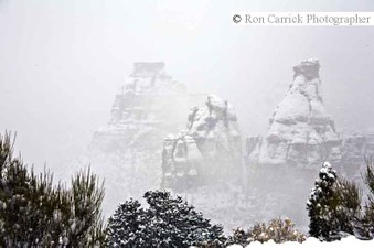 Enlarge photo 172