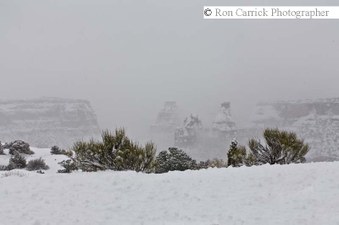 Enlarge photo 174