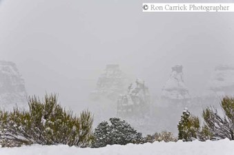 Enlarge photo 176