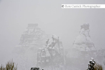 Enlarge photo 178