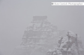 Enlarge photo 177