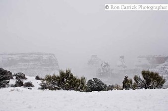 Enlarge photo 179
