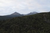 Enlarge photo 42