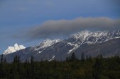 Enlarge photo 55