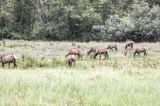 Enlarge photo 27
