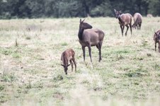 Enlarge photo 48