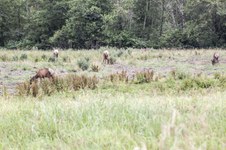 Enlarge photo 56