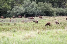 Enlarge photo 94