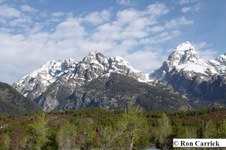 Enlarge photo 13