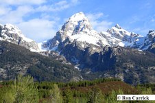 Enlarge photo 14