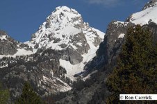 Enlarge photo 17
