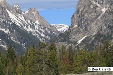 Enlarge photo 25
