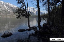 Enlarge photo 29