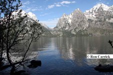 Enlarge photo 30