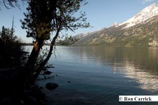 Enlarge photo 31