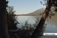 Enlarge photo 33