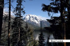 Enlarge photo 37