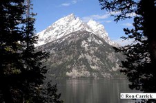 Enlarge photo 38