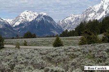 Enlarge photo 40