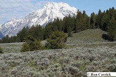 Enlarge photo 41