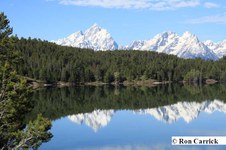 Enlarge photo 43