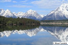 Enlarge photo 44