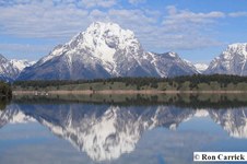 Enlarge photo 45