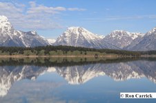 Enlarge photo 46