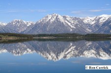Enlarge photo 47