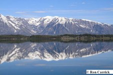 Enlarge photo 48