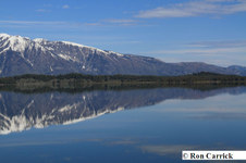 Enlarge photo 49