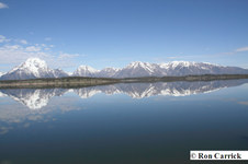 Enlarge photo 50