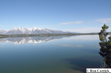 Enlarge photo 51