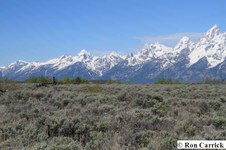 Enlarge photo 52
