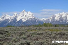 Enlarge photo 53