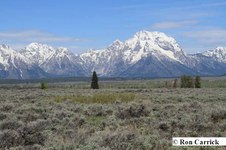 Enlarge photo 55