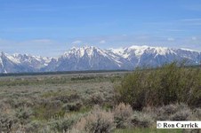 Enlarge photo 56