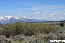 Enlarge photo 57