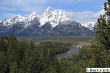 Enlarge photo 58