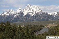 Enlarge photo 59
