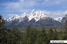 Enlarge photo 60