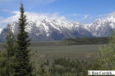 Enlarge photo 61