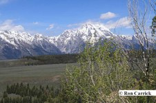 Enlarge photo 62