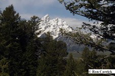 Enlarge photo 63