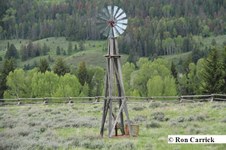 Enlarge photo 82