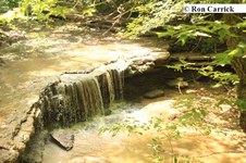Enlarge photo 83