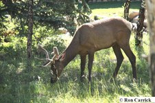 Enlarge photo 86