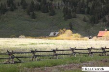 Enlarge photo 64