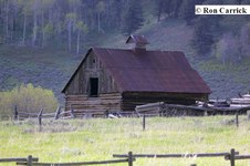 Enlarge photo 65